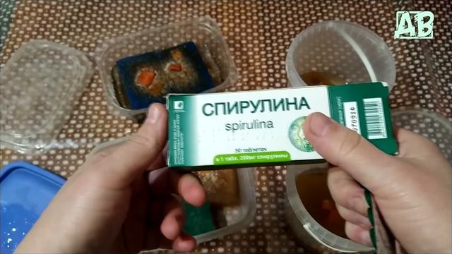 АУЛОФОРУС и ИНФУЗОРИЯ есть ли связь. смотреть онлайн