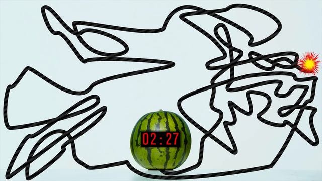 5 Minute Timer Bomb [WATERMELON] ?