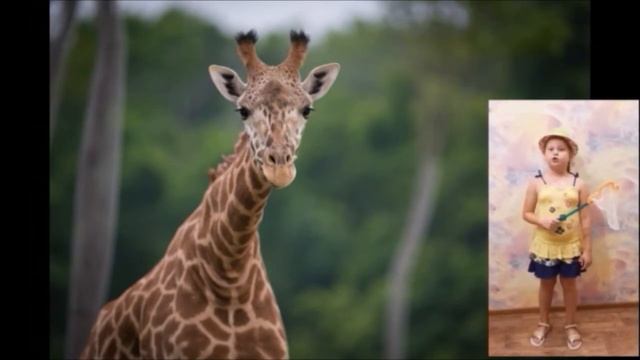 "Животный мир жарких стран" (стихи Ольги Фокиной) - Театр-студия «Ступени» (г. Санкт-Петербург) смотреть онлайн