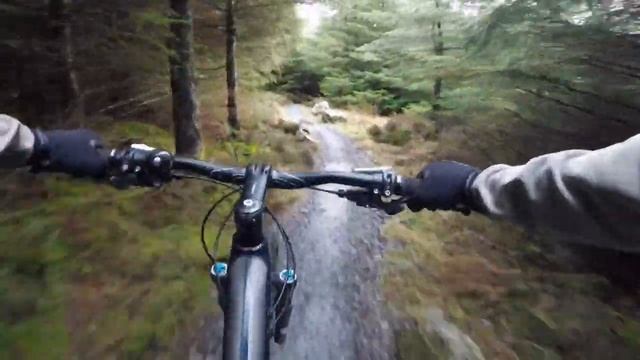 Riding The Bike Park At Ballinastoe, Wicklow, Ireland