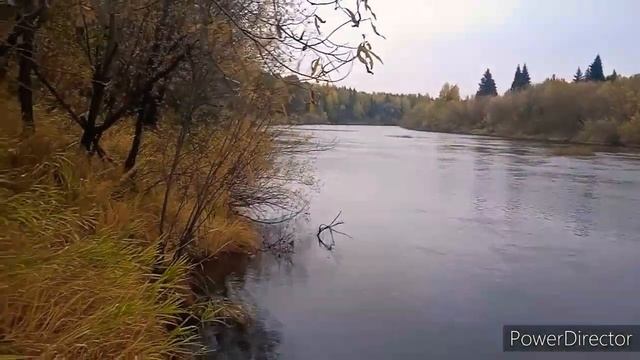 прогулка#по#осеннему лесу с родителями#Природа Коми края#поход за грибами #Карвинг арт смотреть онлайн