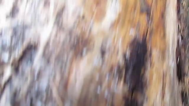 Для чего нужна антисептическая пропика древесины смотреть онлайн