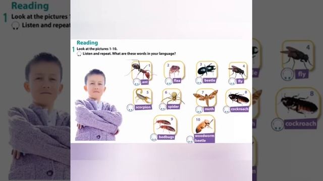 Are you home alone? 5th grade смотреть онлайн