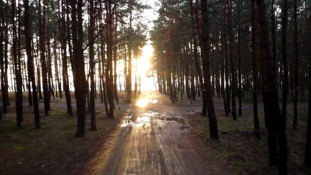 Калининград. Калининградский залив. Поселок Ушаково смотреть онлайн