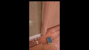 Покраска старых обоев. Бюджетно и быстро.