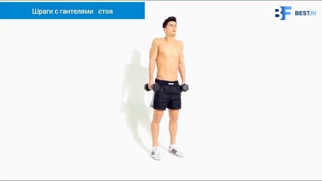 Шраги с гантелями стоя смотреть онлайн