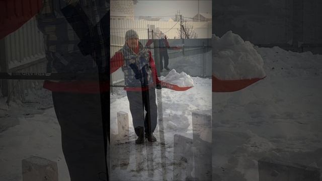 Чем я занимался первые дни после возвращения...