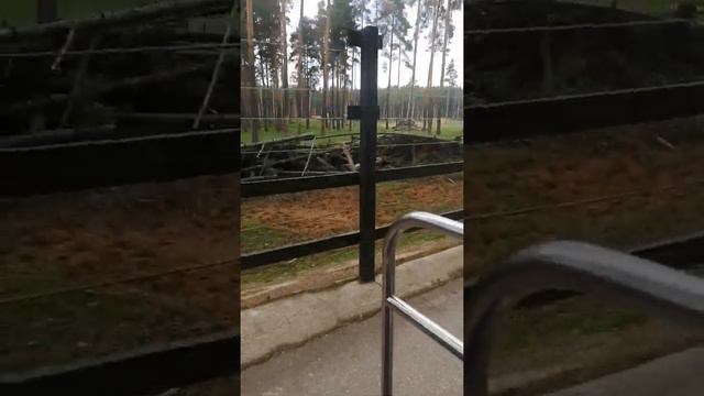 зоопарк ярославль смотреть онлайн