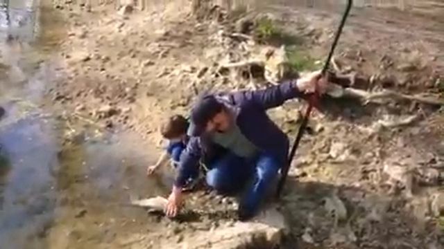 Белый амур на поплавок. Дюковский пруд смотреть онлайн