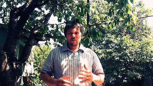 Пост и молитва нужны для изгнания бесов и исцеления больных смотреть онлайн