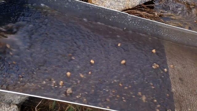 ВОТ И НАСОСАЛ ЗОЛОТО ЭЖЕКТОР смотреть онлайн