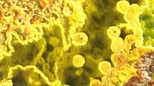 Музыка лечит сердце и сосуды? Успокаивающая музыка восстанавливает нервную систему,расслабляющая #4