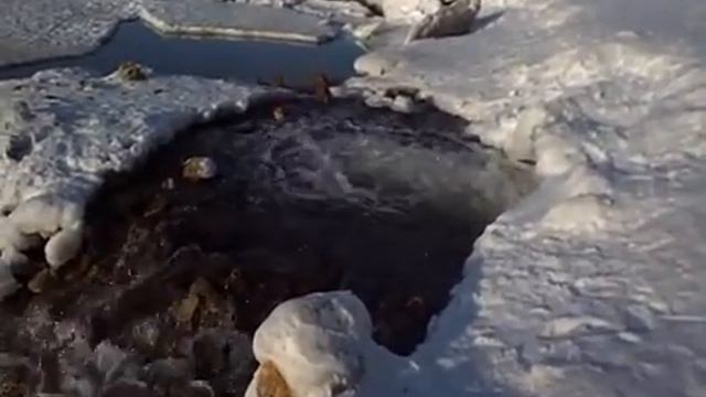 Весна на набережной Волги в Тольятти смотреть онлайн