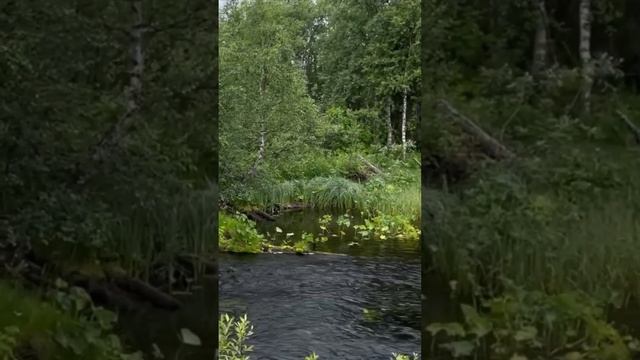 Про рыбалку на Кольском и нашем везении #мотоцикл #motorcycle #enduro #honda #кольскийполуостров смотреть онлайн