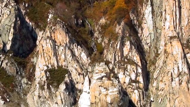 Сихотэ-Алинь (Sikhote-Alin) смотреть онлайн