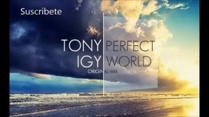 Tony Igy - Perfect World (Original Mix)