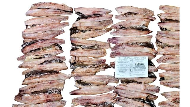 Сельдь, Pacific Herring WR Clupea Pallasii 鲱鱼, 鯡魚 ニシン, にしん (Морепродукты, рыбопродукция) смотреть онлайн