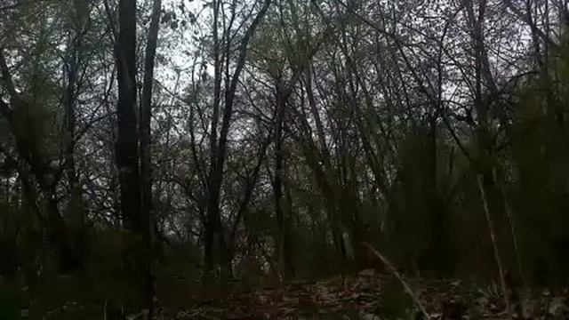 Мостик С Ног Прогнувшись Назад На Природе(08.05.2015) смотреть онлайн