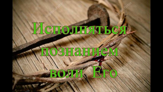 Проповедь С. Ф. Герасименко "Исполняться познанием воли Его". МСЦ ЕХБ. смотреть онлайн