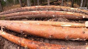 Ночной переезд! Часть 1.