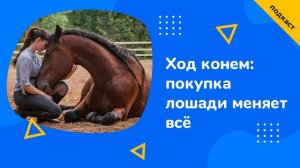 Ход конём: покупка лошади меняет всё | Эквайнс подкаст | Анна Шарошенкова и Анна Володичева