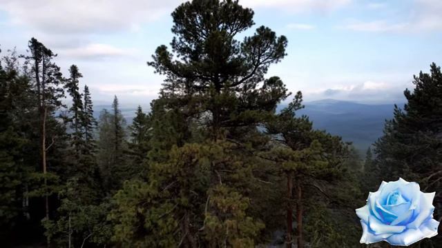 Сергей Чекалин В ТУМАНЕ монтаж Юрия Маркова смотреть онлайн