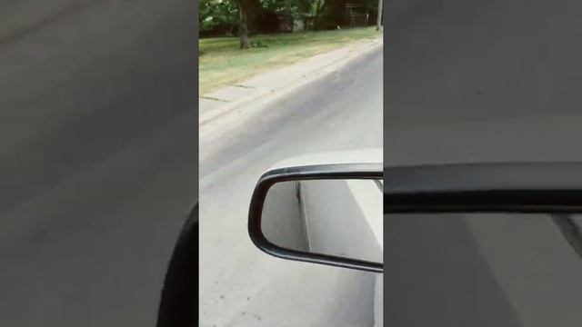 Collegeville street смотреть онлайн