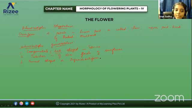 Morphology of Flowering Plants | L4 | Botany | NEET-Repeater-2022 смотреть онлайн