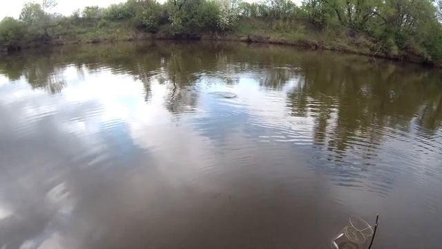 Рыбалка в мае 2021. самый крупный лещ поймался за все года моей рыбалки! смотреть онлайн