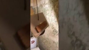 Уборка после смерти запущенной квартиры - ЧистоСервисПлюс