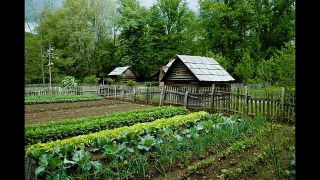 Аудіодиктант. Нова садиба. 8 клас. смотреть онлайн