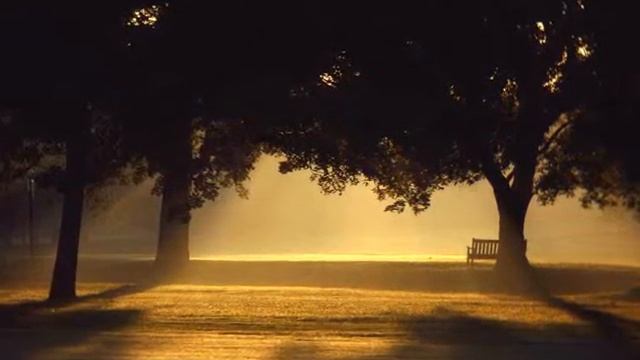 Старые липы Музыка Шабунина С М смотреть онлайн