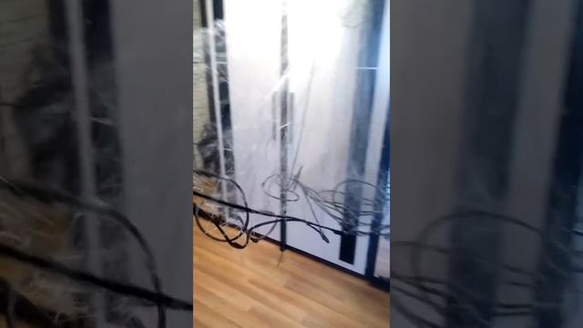 Ряжевая сеть! смотреть онлайн