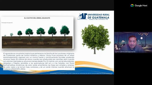 Semana 2 - Sábado смотреть онлайн