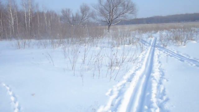 Лыжня по русски [wirruss] великолепие зимнего утра добыто лыжником смотреть онлайн