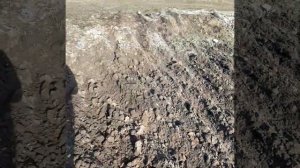 Минитрактор Русич 220. Навесное оборудование. Видеоотзыв