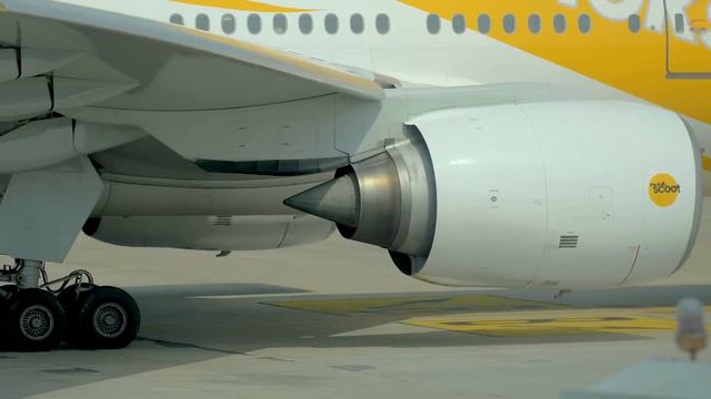 A Misunderstanding Of Deadly Proportions (TAM Flight 402) - DISASTER BREAKDOWN