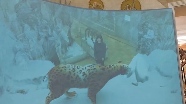 Музей естествознания в городе Казани смотреть онлайн