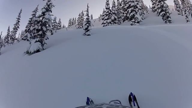 Nytro mtx смотреть онлайн