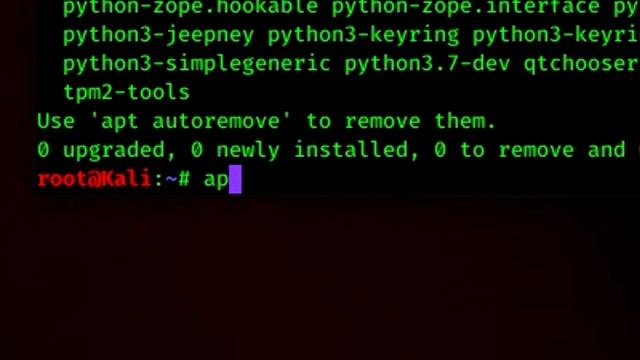 How to update Kali Linux - Fast Tutorial смотреть онлайн