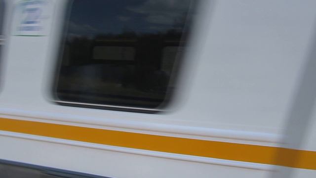 Электропоезд ЭД4М-0451 ЦППК станция Латышская 1.05.2019 смотреть онлайн