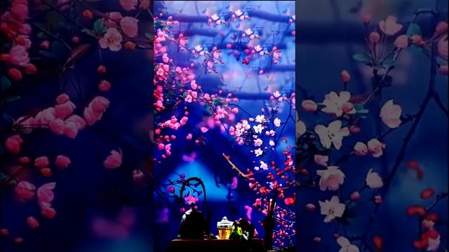 Нежная музыка ? лечебная музыка для сердца и сосудов, релакс, медитация, спа, учеба и концентрация смотреть онлайн