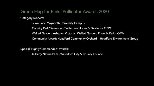 Green Flag Awards 2020 смотреть онлайн