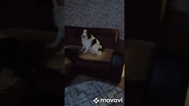 Все пишут, что у меня беспорядок, что плохо пахнет, не судите если не знаете человека😊😊😊 смотреть онлайн