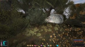 Разыскать схрон в забытом лесу по заданию Жилы в ОП 2.1