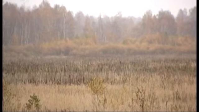Экологически безопасное производство. Озвучены результаты независимой экспертизы Томинского ГОКа смотреть онлайн