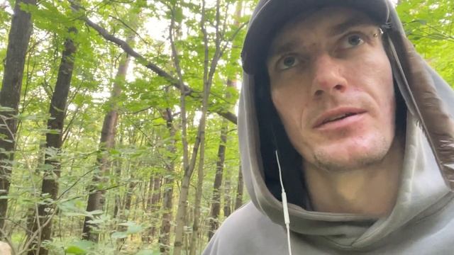 Западный Ветер-Беседа об энергопрактиках. смотреть онлайн