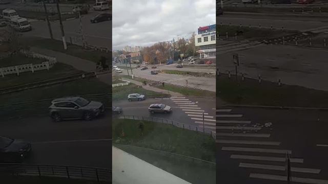 Бездомные собаки. Тверь смотреть онлайн