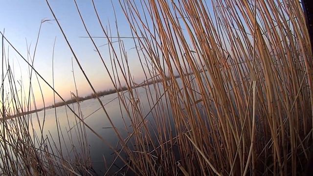 Весенняя охота 2022 смотреть онлайн