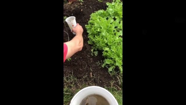 5 Ways to Help the Environment (Out Side Edition) смотреть онлайн